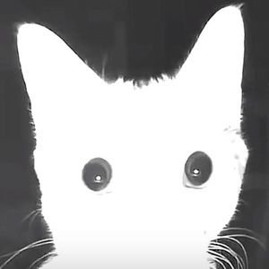 Meet your Posher, Catalyst